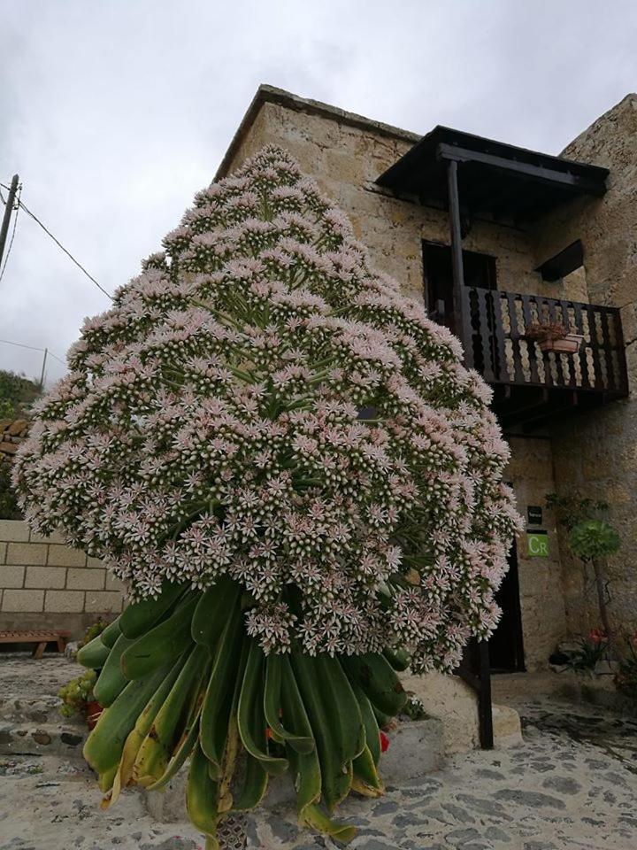 Vigas Vivencia Rural Casa rural Arico Viejo
